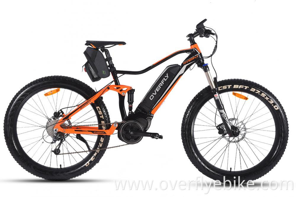 mid motor electric bike